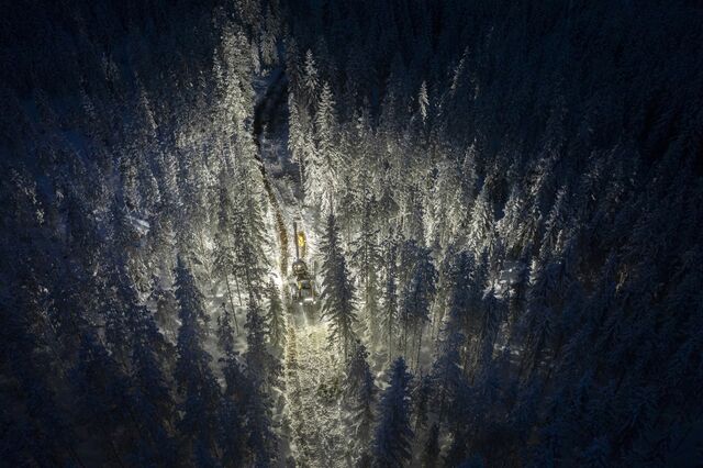 A harvester clearing trees in Langskog. Modern forestry machines can fell large swathes of forest in a short amount of time. The work is done by a sole harvester machine.