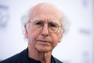 Pursuits_Larry David biography