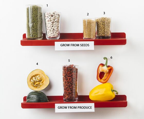 Can’t Get Seeds? There’s a Garden Already Waiting in Your Pantry