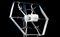 EMBARGO Amazon drone