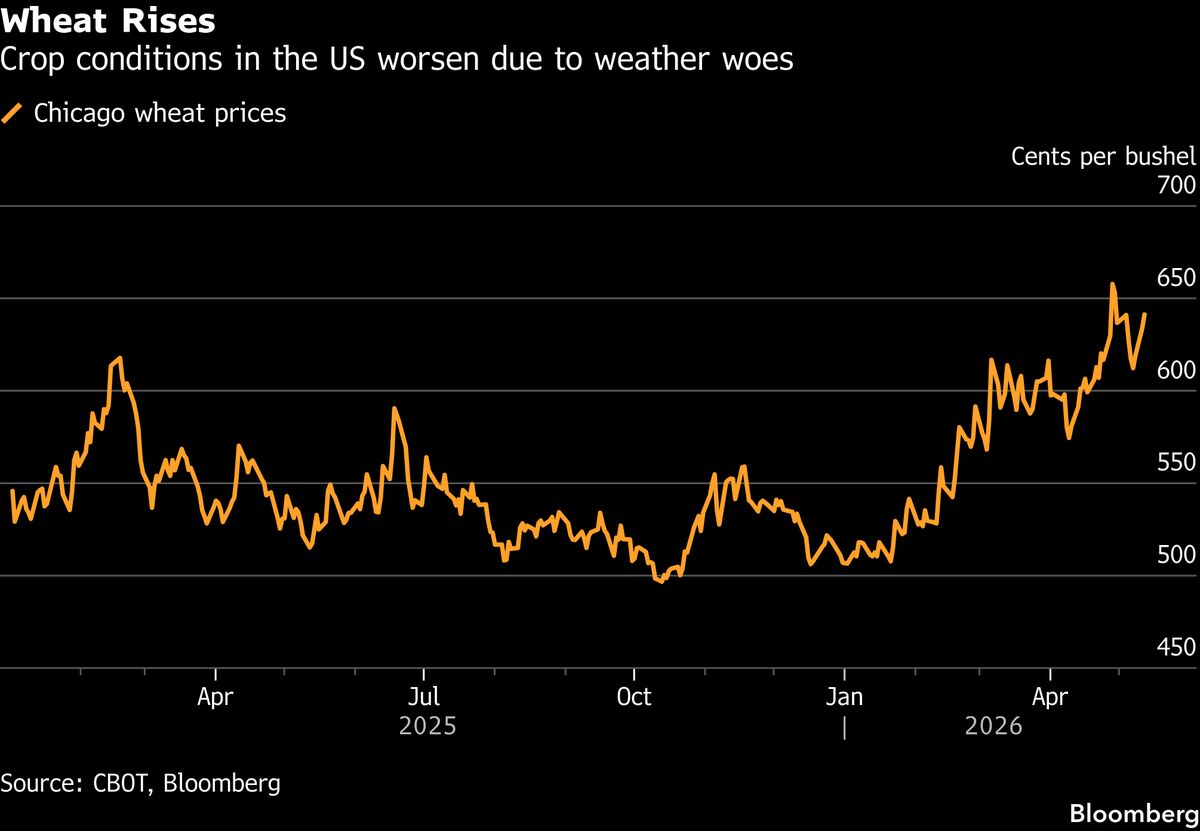Wheat Extends Gains as Poor Weather Worsens US Crop Conditions