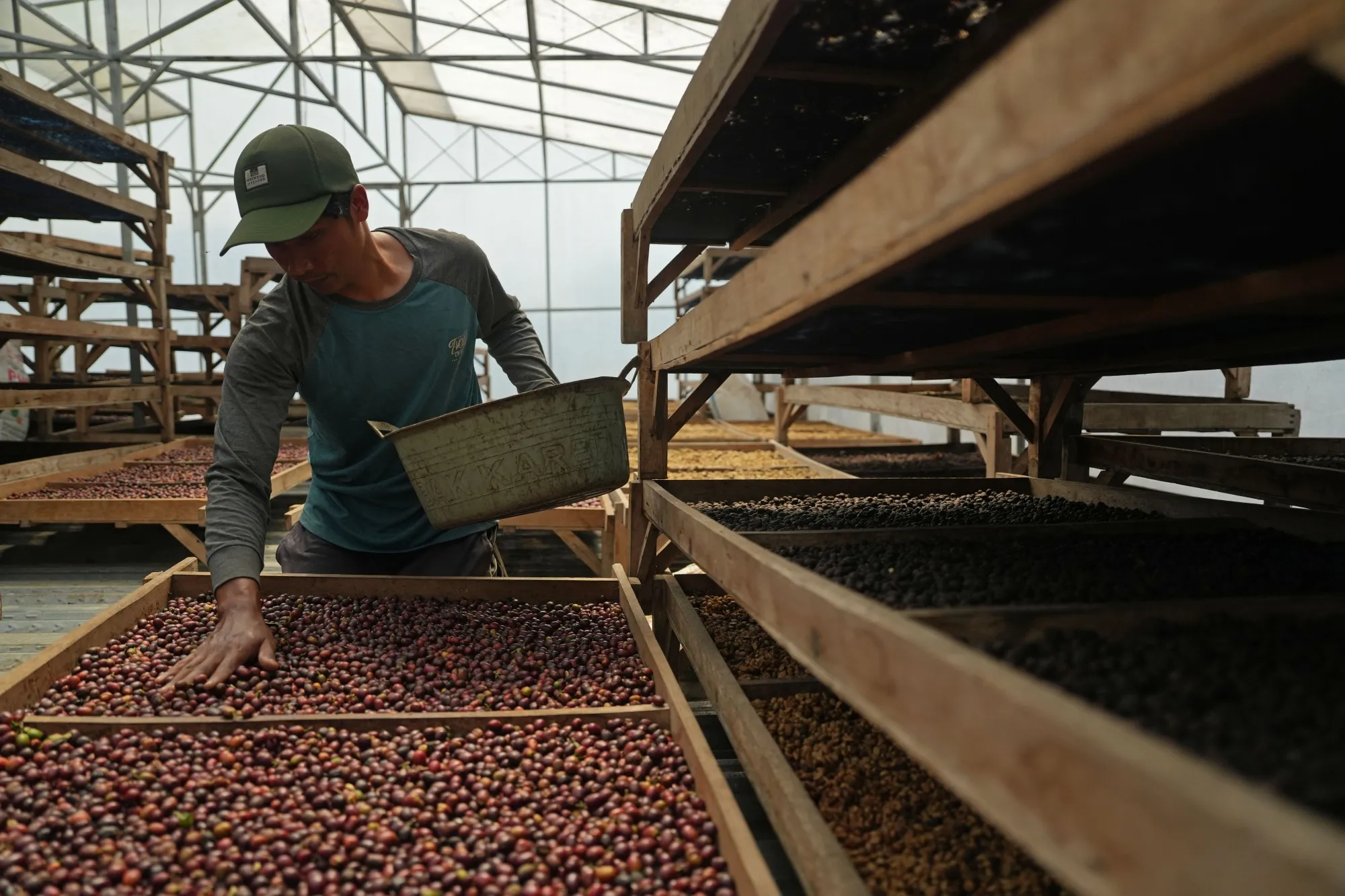 An employee spreads Arabica coffee beans to dry at Kwadungan Coffee in Temanggung regency, Central Java, Indonesia.