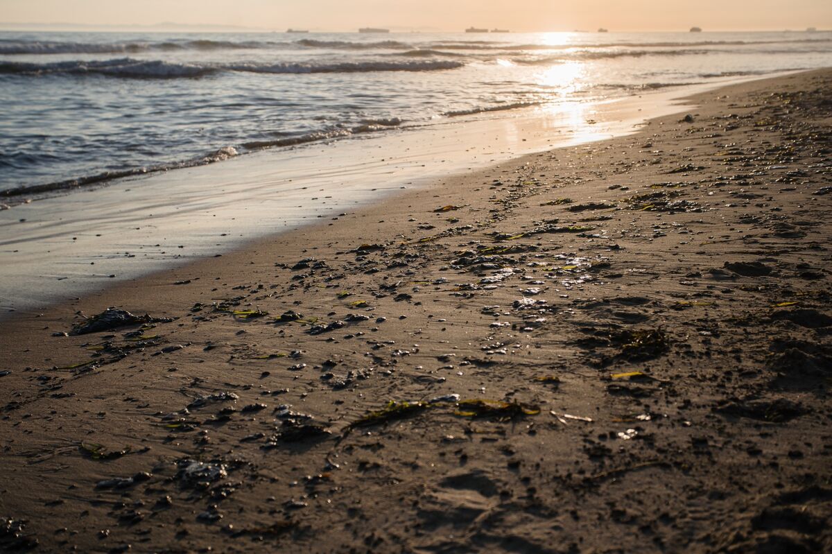 California Oil Spill Closes Beaches, Hits Huntington, Renews Offshore Debate - Bloomberg