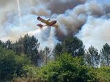 Fires Scorch France, Spain; Temperature-related Deaths Soar