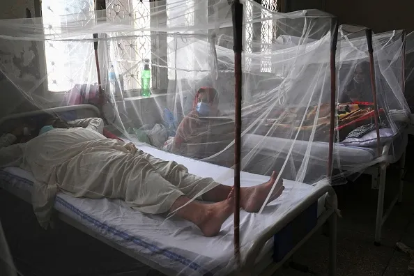 Patients suffering from dengue fever resting under a mosquito net.