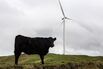 Views Of Meridian Energy's Te Uku Wind Farm As State-Owned Company Prepares For IPO