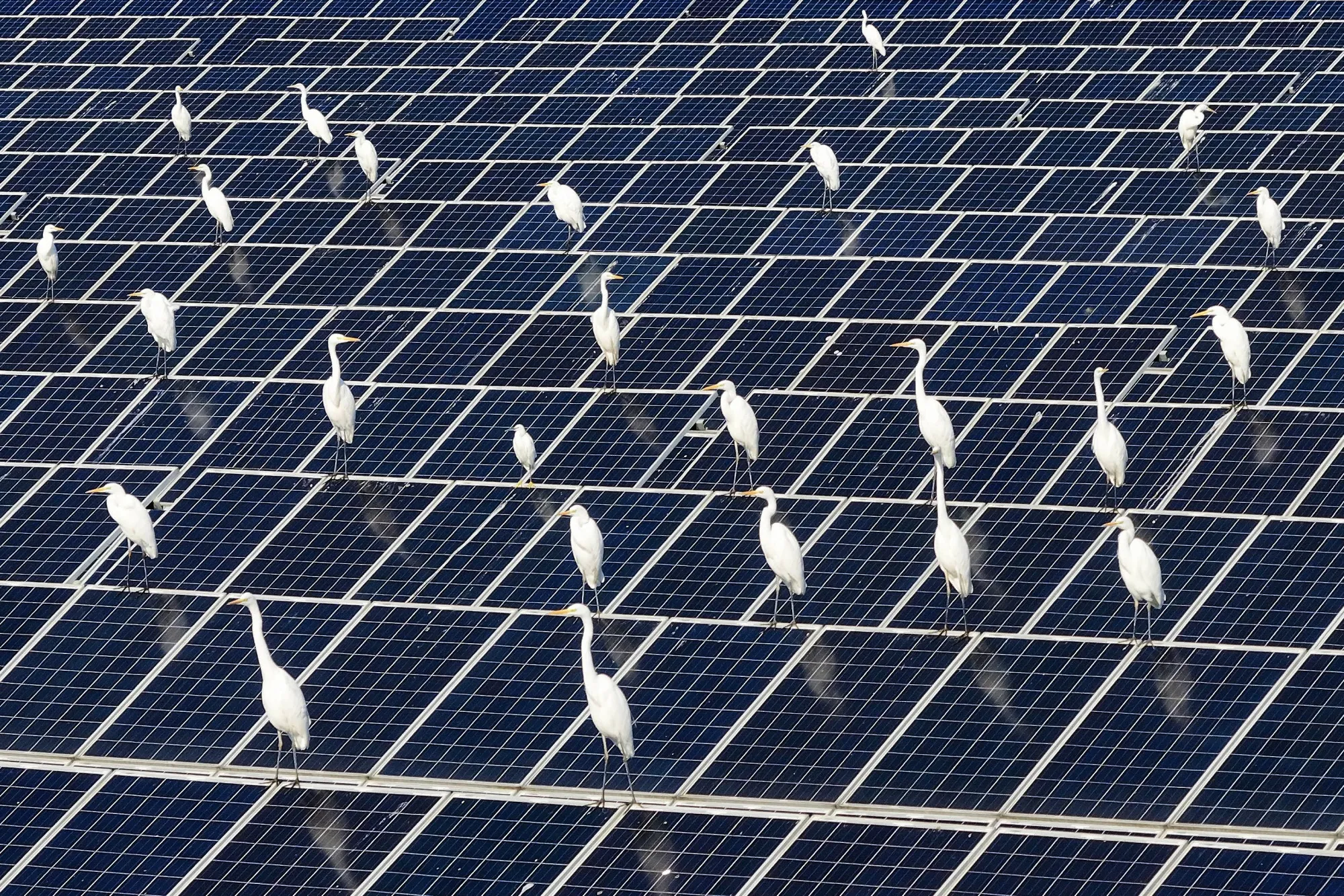 Solar powerhouse.&nbsp;