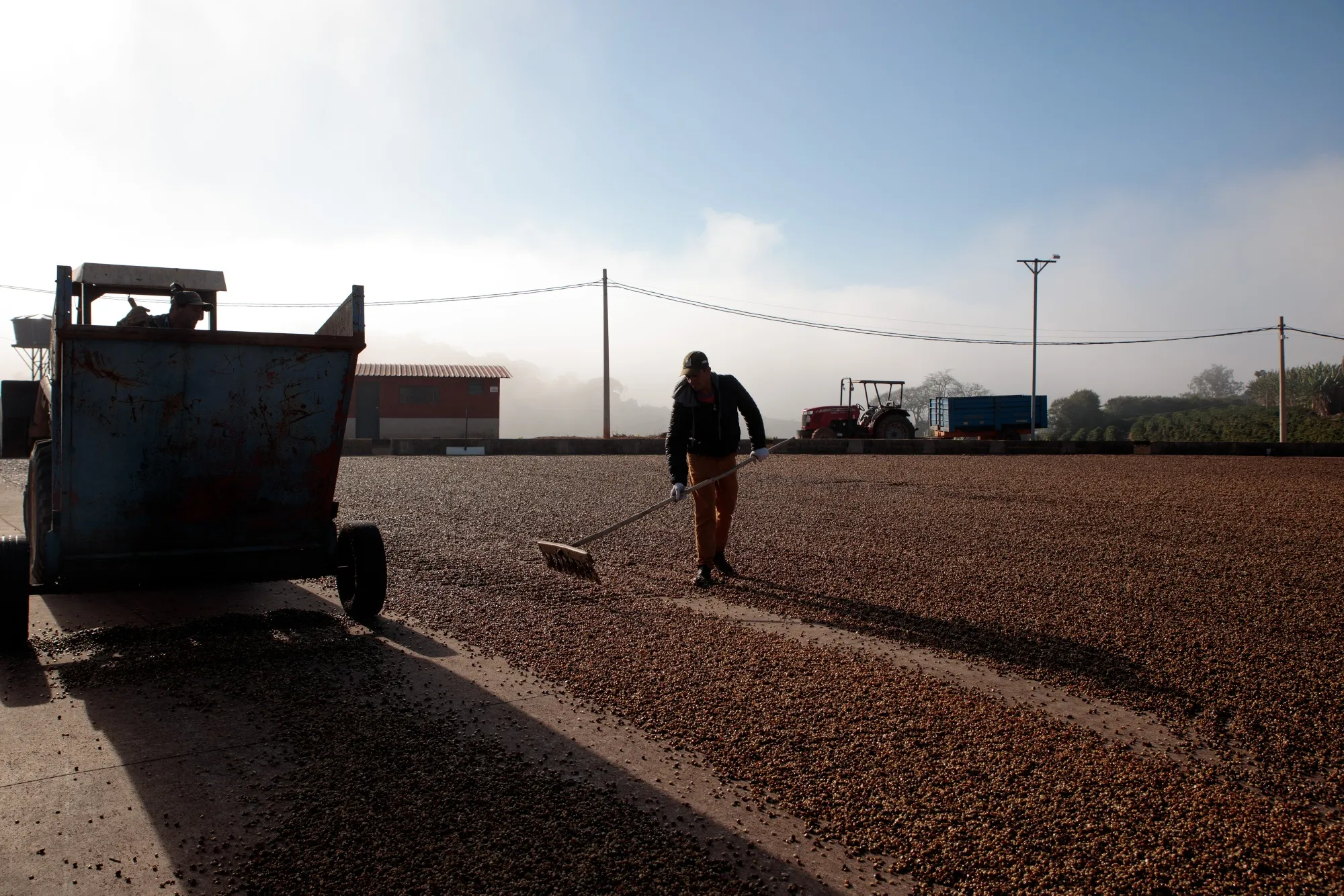 Coffee Disruptions Are Coming As Brazilian Farmers Battle For Higher Pay