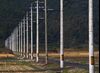 Utility poles stand along a road near Kyushu Electric Power Co.'s Sendai Nuclear Power Plant stands in Satsumasendai, Kagoshima Prefecture, Japan, on Monday, Oct. 27, 2014. Residents near the Sendai nuclear plant in southern Japan vote on Oct. 28 whether to resume operations at the facility, highlighting a conflict between Japanese who benefit from the largess of the industry and those who don't.