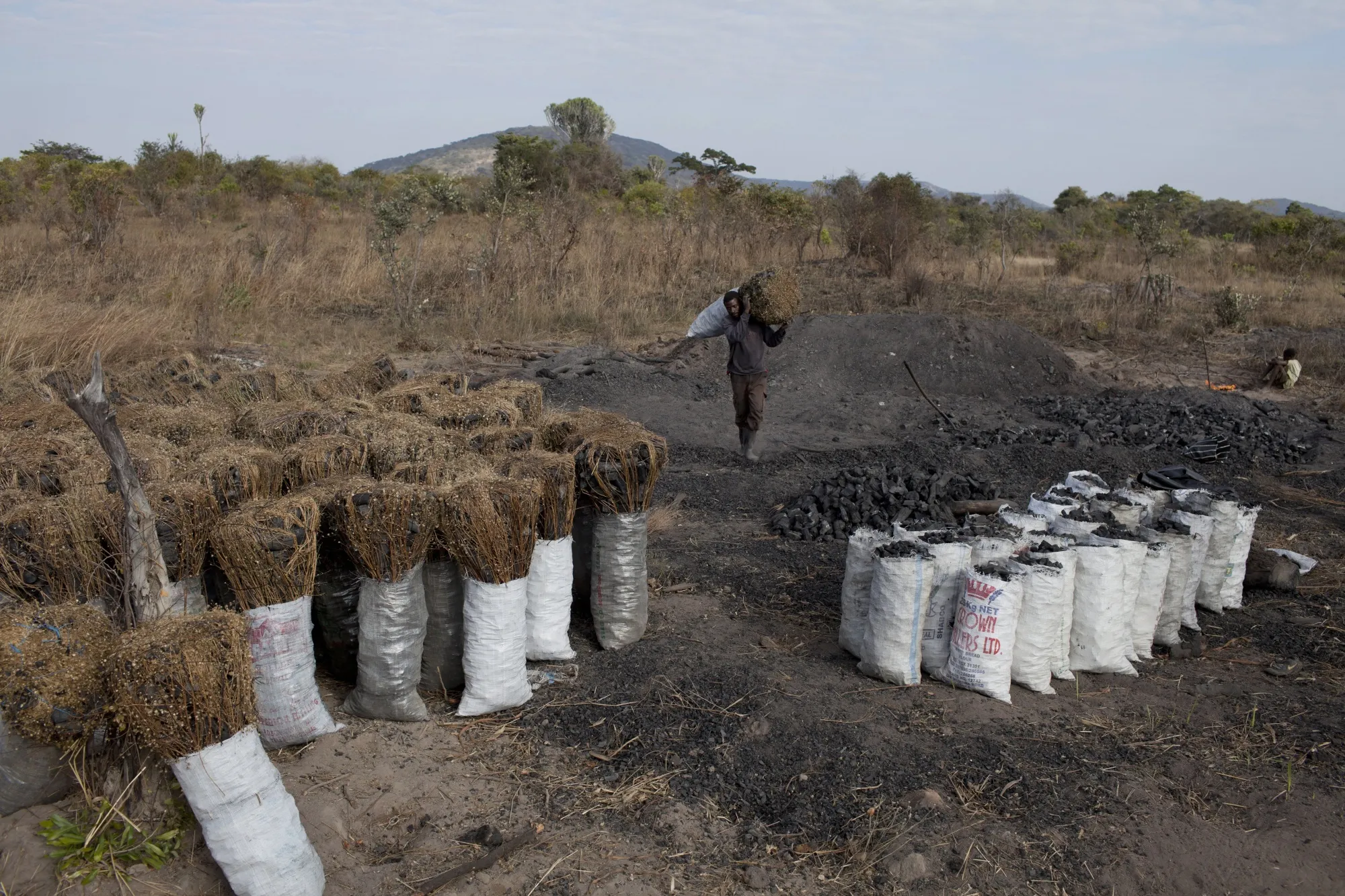 A man carries a bag of charcoal at a charcoal production site outside Lusaka, Zambia.&nbsp;