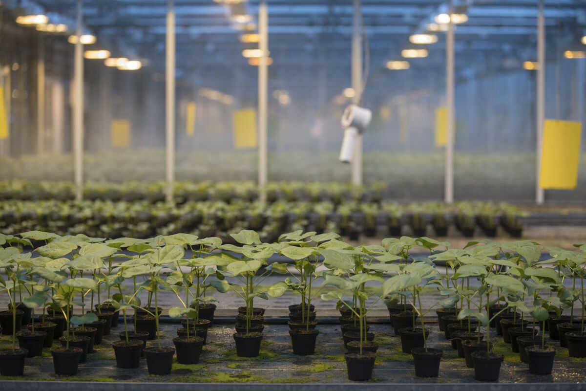 QuarterTrillion Dollars of Breakups Drive Dealmaking Recovery Bloomberg