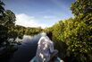 Markets_Mangroves