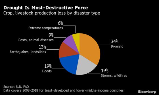 Farmers Take on ‘Post-Apocalyptic’ Food Crisis