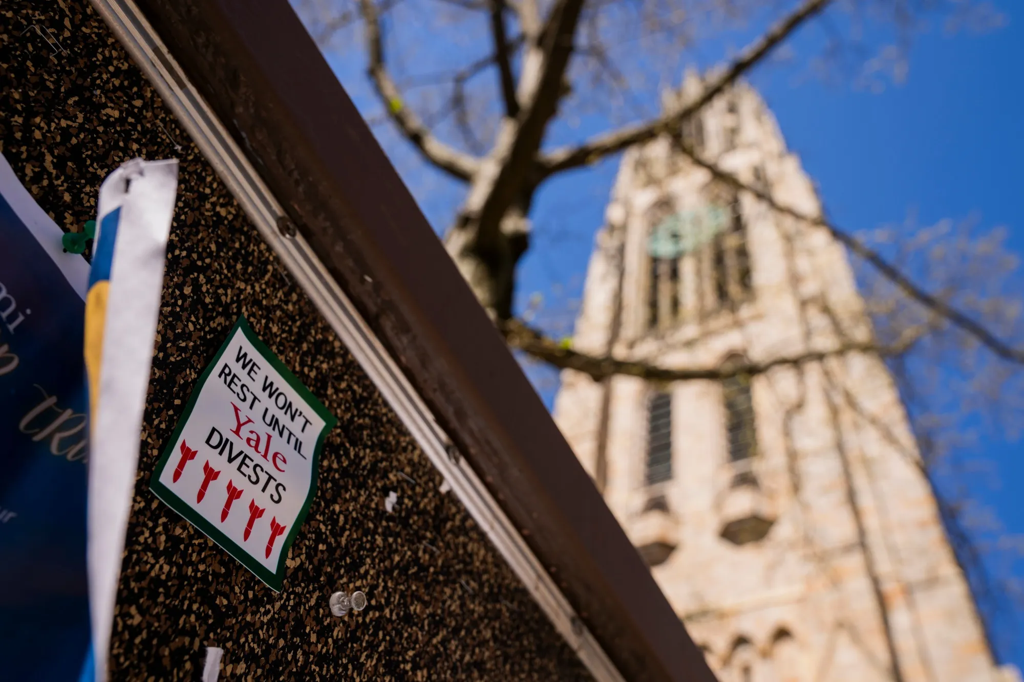 Pro-Palestinian signage at Yale University in New Haven, Connecticut, US, on Tuesday, April 23, 2024. Campuses across the US have been grappling with pro-Palestinian protests and counter demonstrations since the Oct. 7 attack on Israel by Hamas.