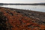 The exposed bed of the Arlington Reservoir near Polegate, UK.