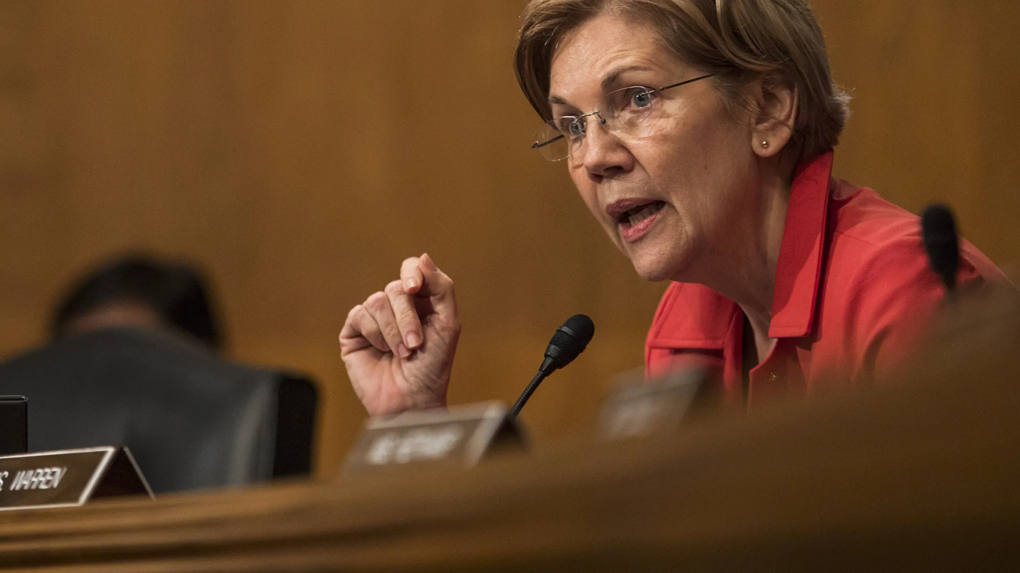 Elizabeth Warren
