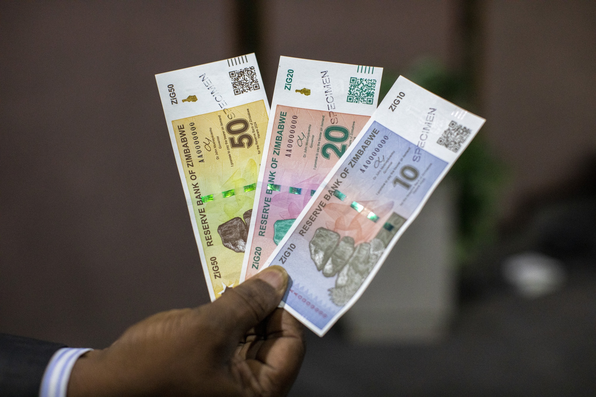 ZIG/USD: Zimbabwe's Currency Crisis Is Benefitting Small Informal 