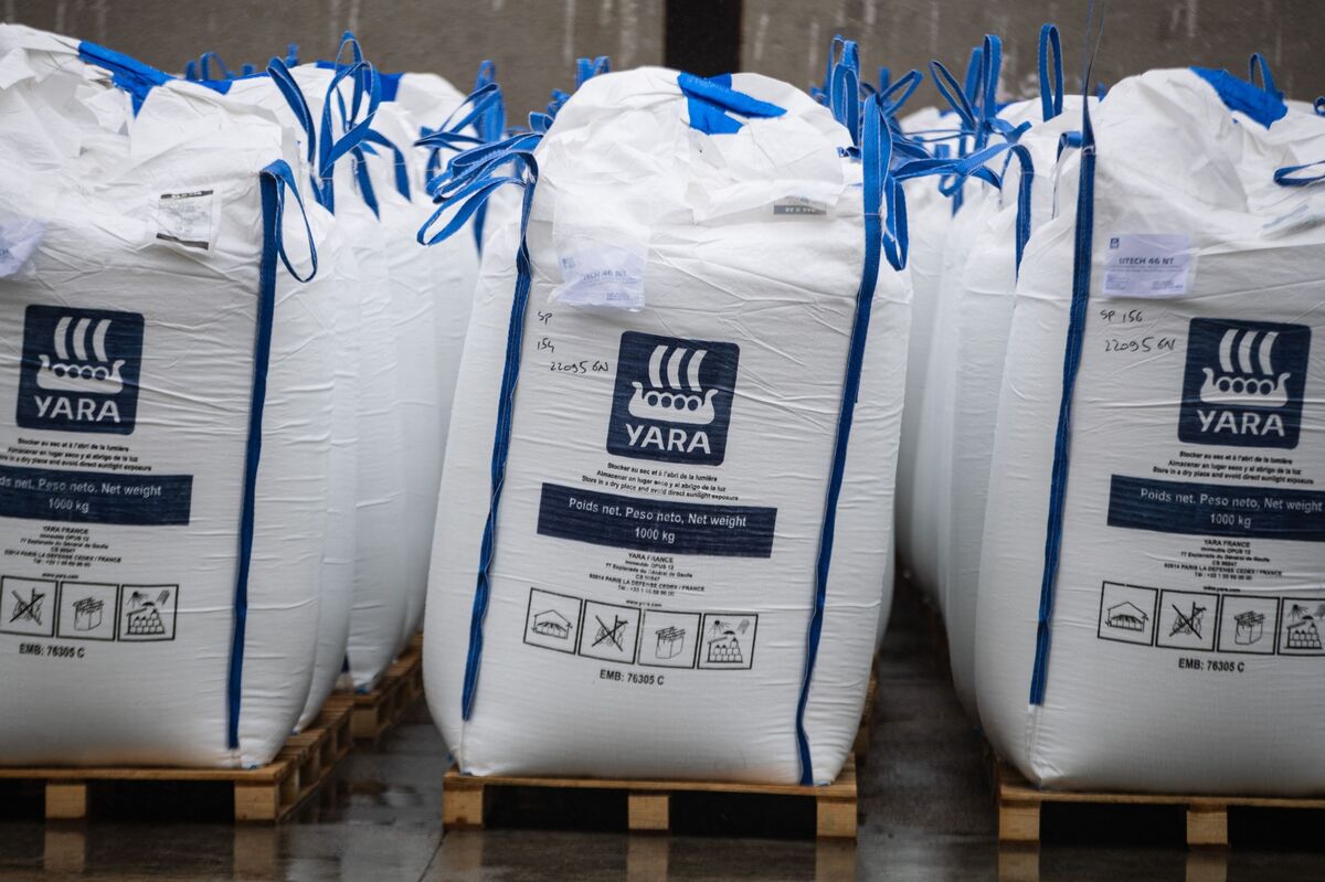 ⚫️ BLOOMBERG: Yara e BASF abbandonano progetto di ammoniaca a basse emissioni, azioni in crescita per Yara