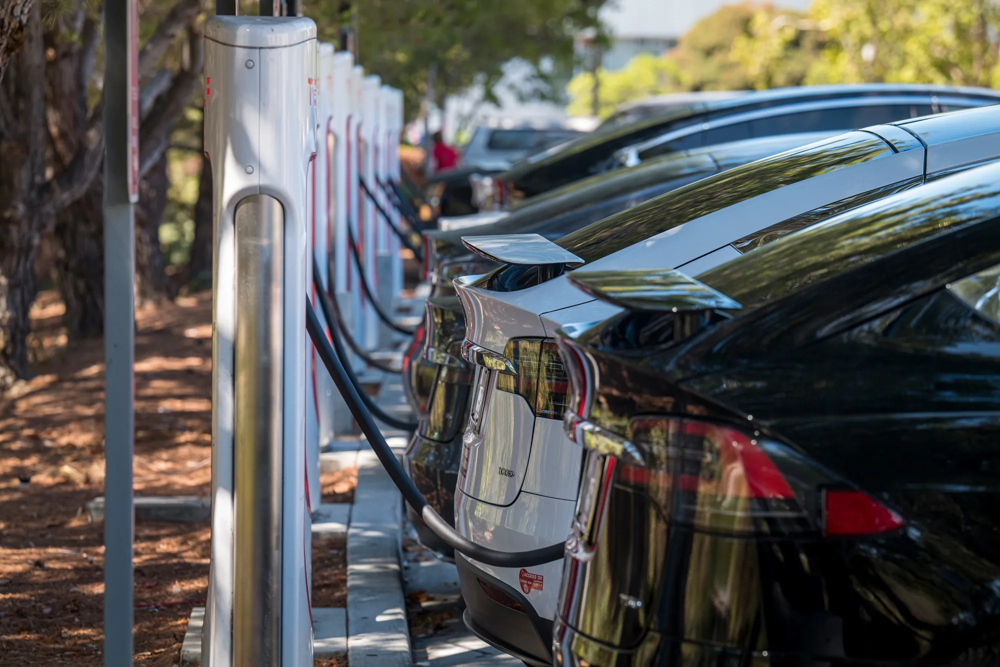 Tesla will be an obvious beneficiary of any big policy changes in the sector that drive faster adoption of electric cars.