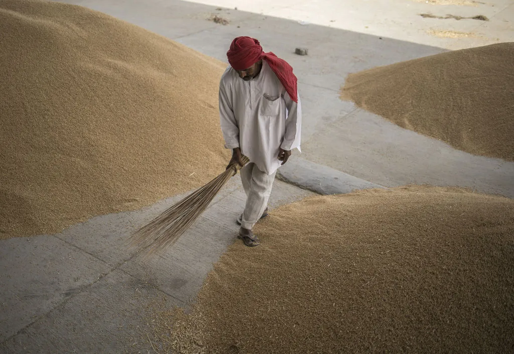 World wheat prices rose on news of India’s export ban.&nbsp;