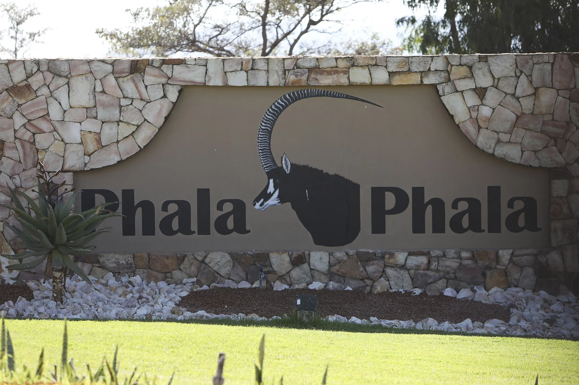 Ramaphosa's Scandal-Tainted Wildlife Farm Sells 26 Animals - Bloomberg