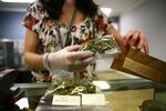 Medical marijuana is dispensed in Colorado