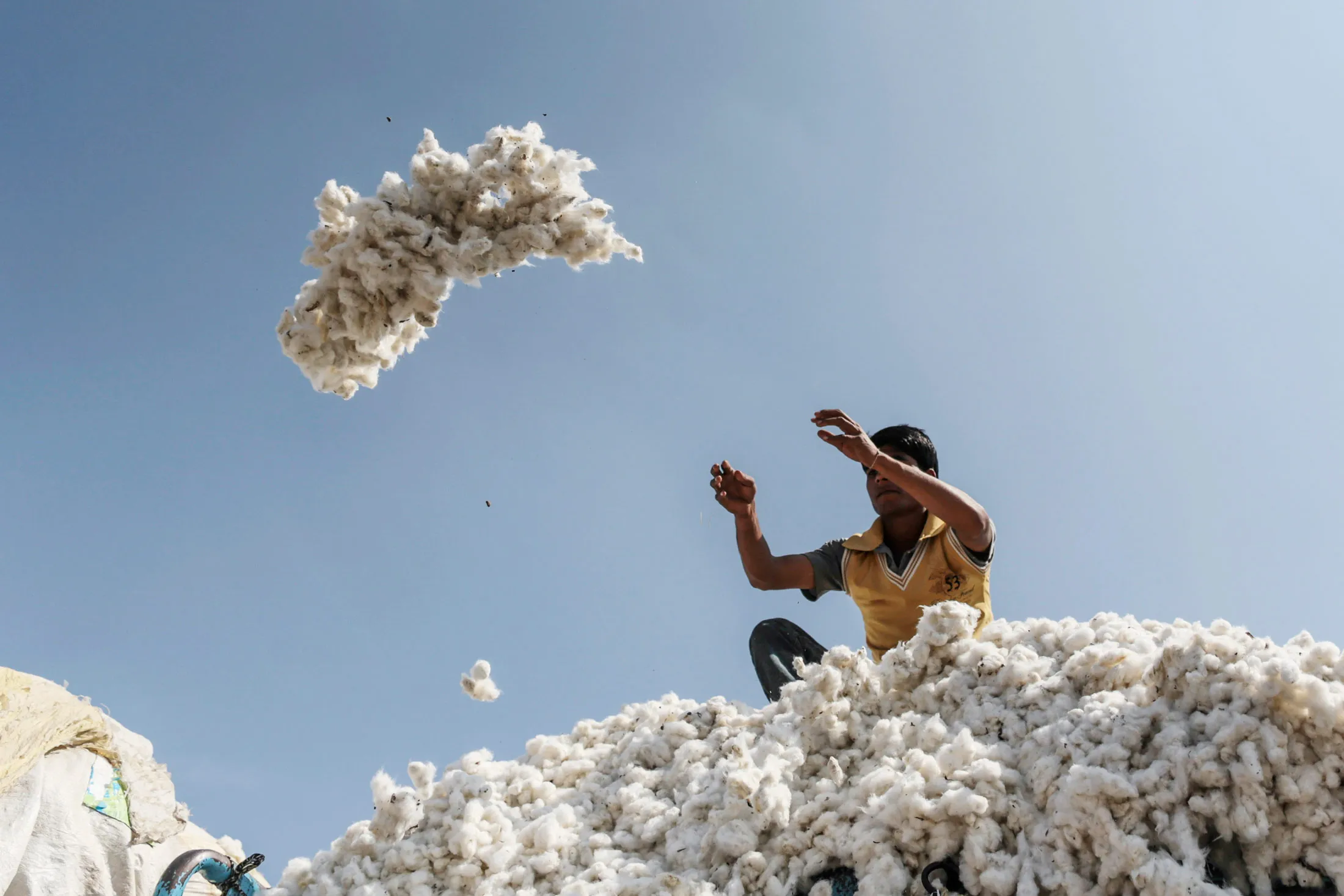 A cotton market in Yavatmal, Maharashtra, India, on Wednesday, Feb. 4, 2015.
