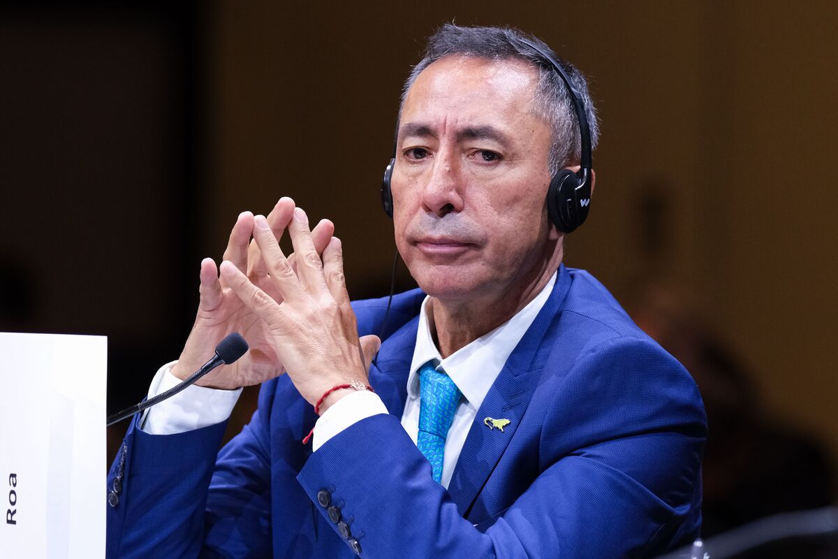 bloomberg.com - Andrea Jaramillo - Colombia State Oil Company Ecopetrol CEO Ousted, Portafolio Says