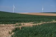 Europe's Wheat Whipsawed by Weather Shift