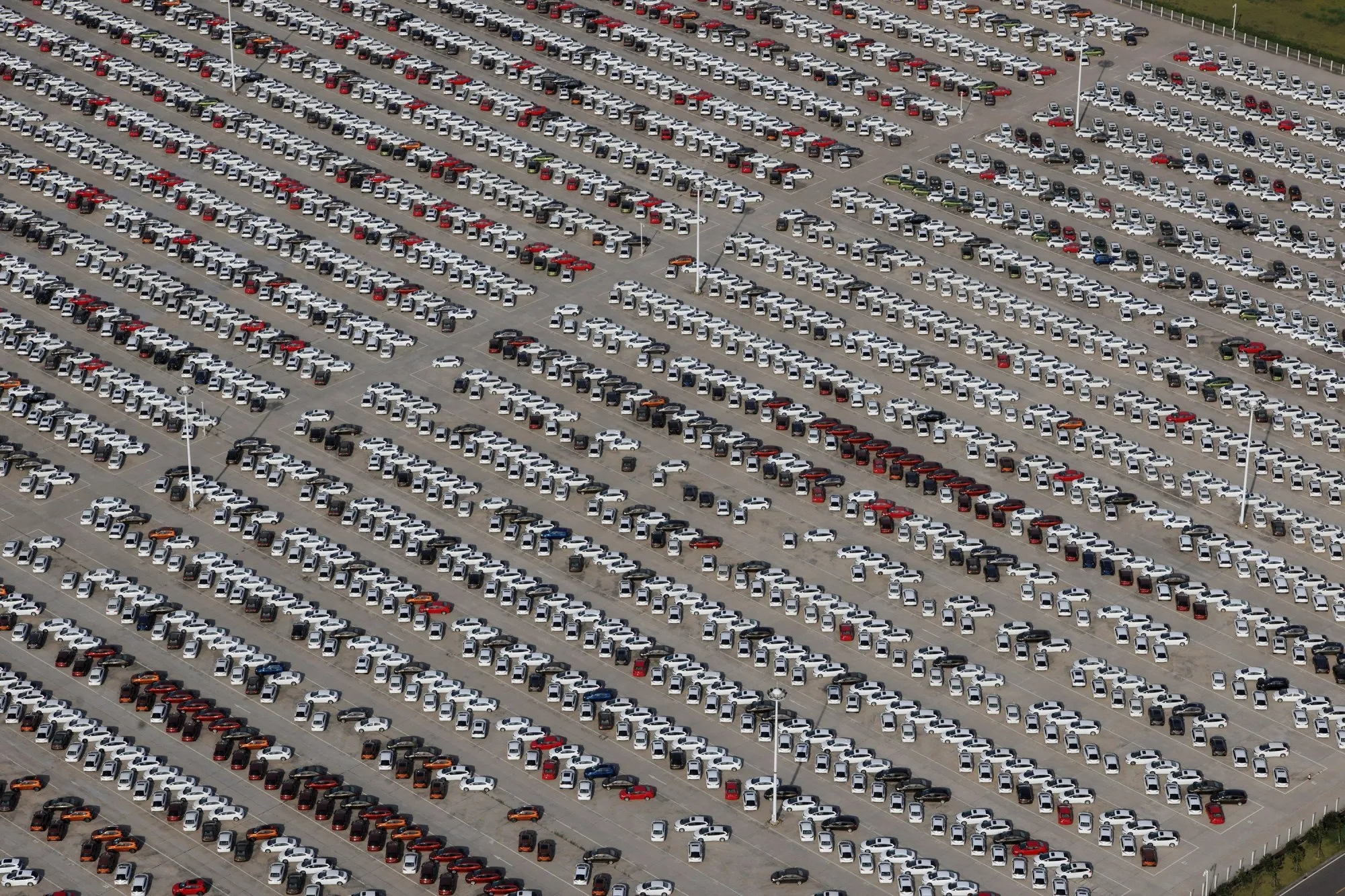 Views from the Anthropocene.
