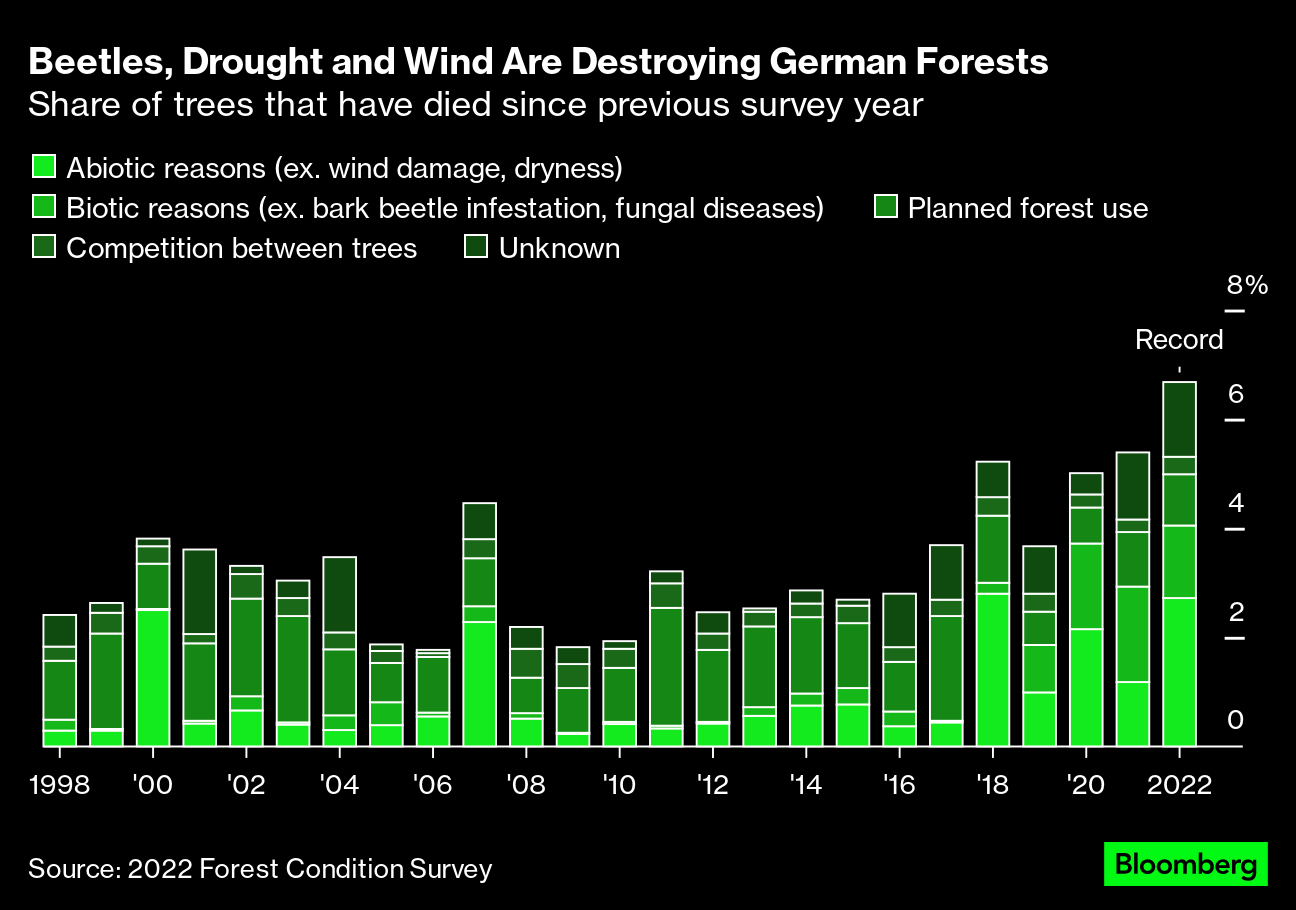 In Germany, bark beetles, drought and... 