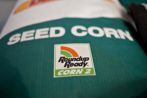 Roundup Ready Corn 2