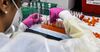 A lab technician sorts blood samples inside a lab for a COVID-19 vaccine study at the Research Centers of America (RCA) in Hollywood, Florida.