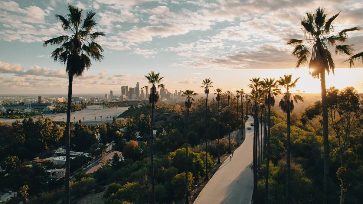 🟨"Milken Conference: Milionari e CEO a Los Angeles in Crisi"