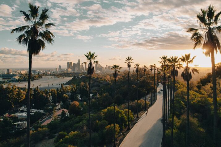Palm Tree-Lined Street Overlooking Los Angeles at Sunset