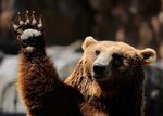 A bear market in stocks looms.&nbsp;