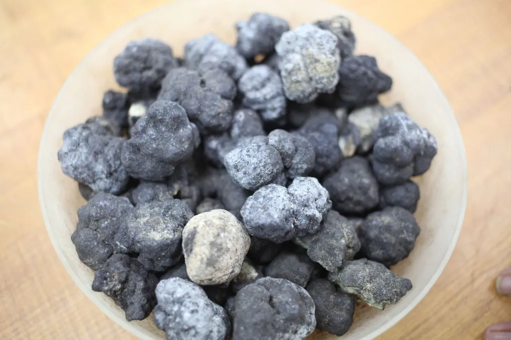 American Ocean Minerals&nbsp;plans to focus on polymetallic nodules.