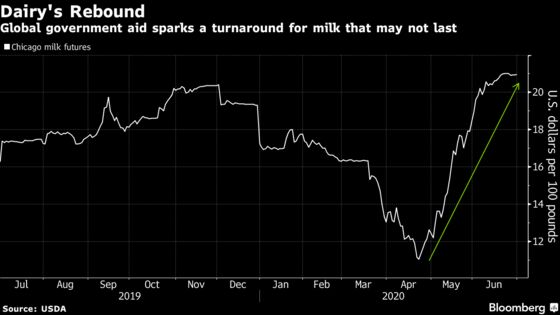 Dairy Farmers Worldwide Are On the Brink of Crisis