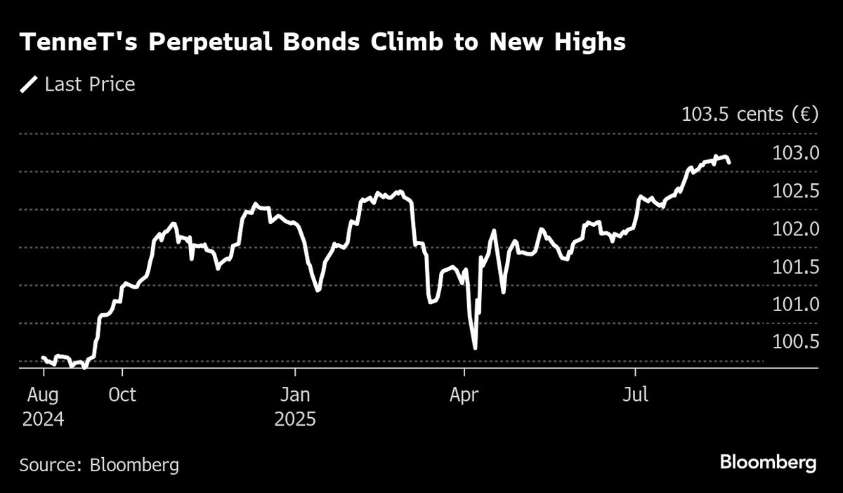 Dutch Energy Firm TenneT Attracts Investor Interest After Debt Guarantee