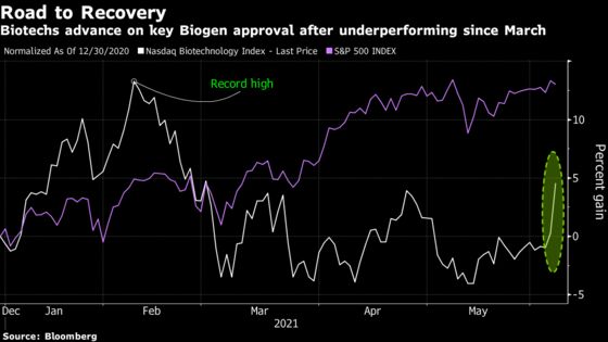 Biotech Shares Soar as Biogen Drug Approval Stokes Optimism