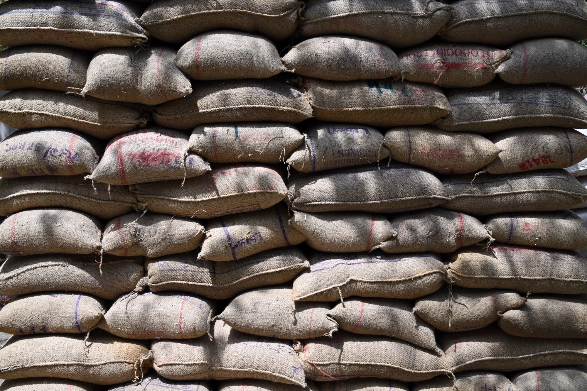 Sacks of wheat grain at a wholesale market in Ghaziabad, Uttar Pradesh, India, April, 2024.