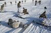 A scene of soldiers on skis, standing, on their knees and on the ground.