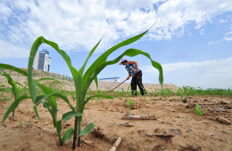 World’s Largest Water Diversion Plan Won’t Quench China’s Thirst – Trending Stuff