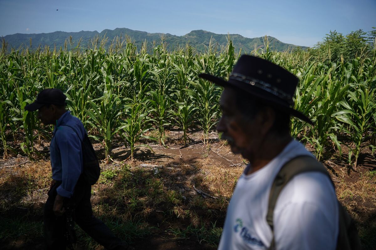 Super El Niño Risks Emerging Markets in Asia, Africa and Latin America