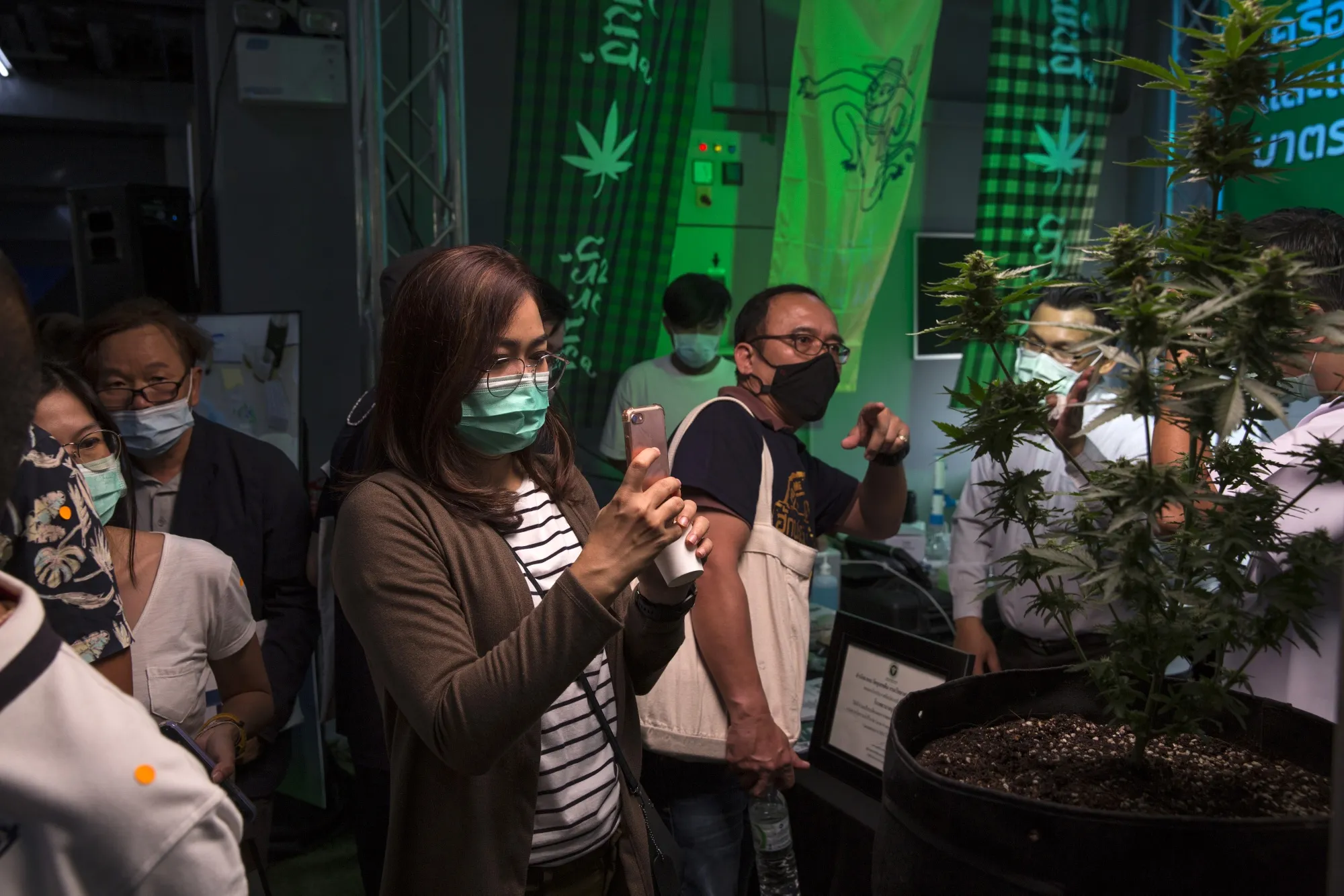 Visitors take photographs at the Ganja Expo, in Buriram, Buriram province, Thailand.