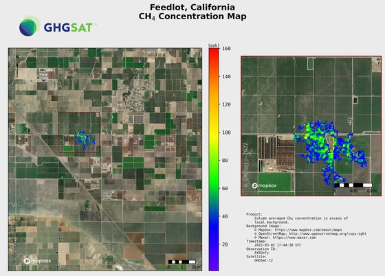Cattle Burp Methane Emissions Measured From Space for First Time
