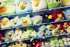 1502774991_angry birds