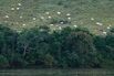 BRAZIL-ENVIRONMENT-DEFORESTATION-AMAZON