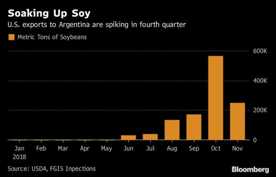 Soy Trade Goes Topsy Turvy as Major Exporter Turns to Imports