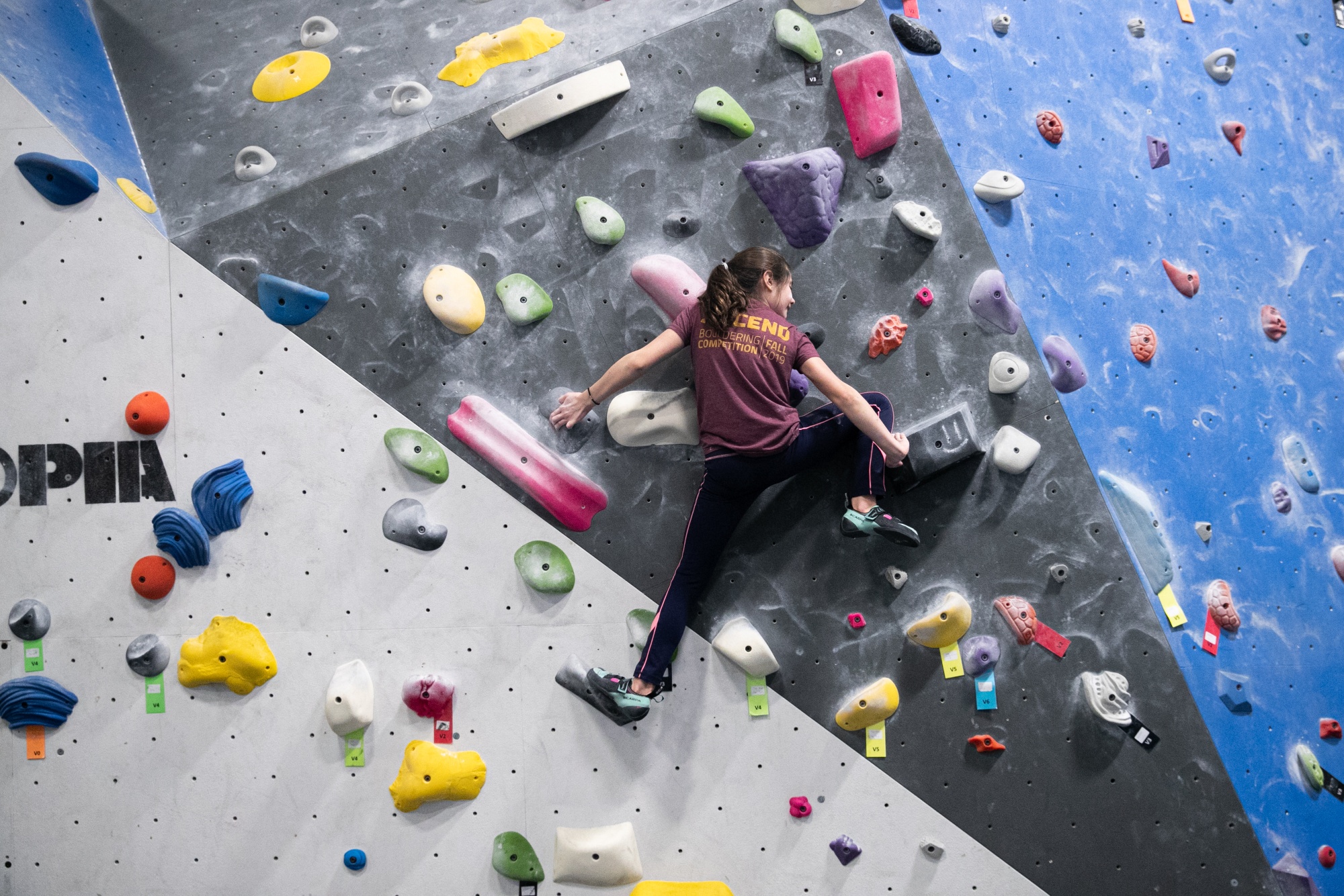 Rock Climbing Rock Stars 